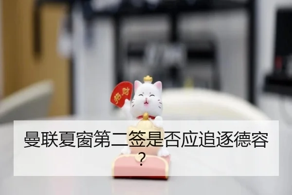 曼联夏窗第二签是否应追逐德容？